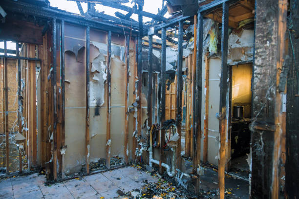Professional Fire Damage Removal technician working in Pacific, WA